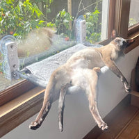 Nymock™ Foldable Cat Hammock - , Nymock